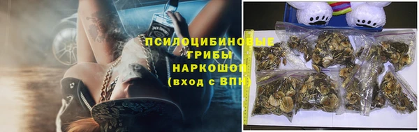 скорость Горно-Алтайск