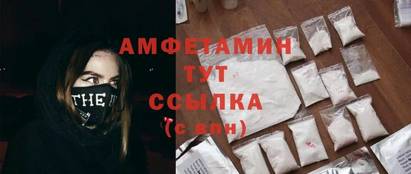 амф Горняк