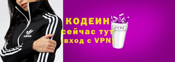 амф Горняк