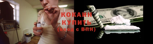 амф Горняк