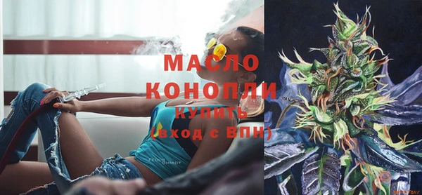 амф Горняк