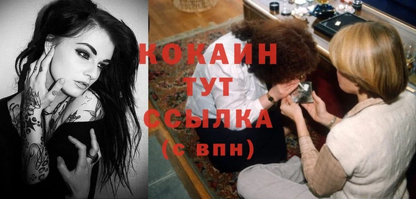 амф Горняк