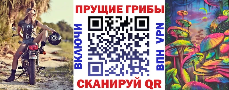 Псилоцибиновые грибы мухоморы  Междуреченск 