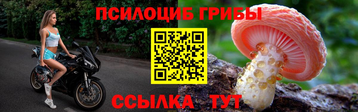 Галлюциногенные грибы GOLDEN TEACHER Междуреченск