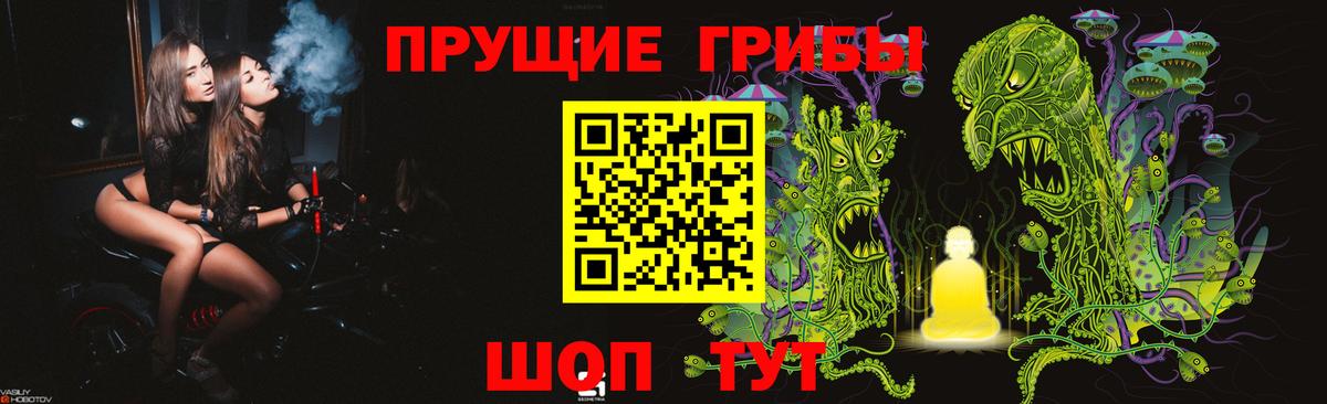 Псилоцибиновые грибы мухоморы Междуреченск