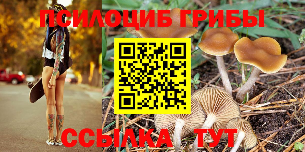 Междуреченск  Псилоцибиновые грибы Psilocybine cubensis  Вход с VPN 